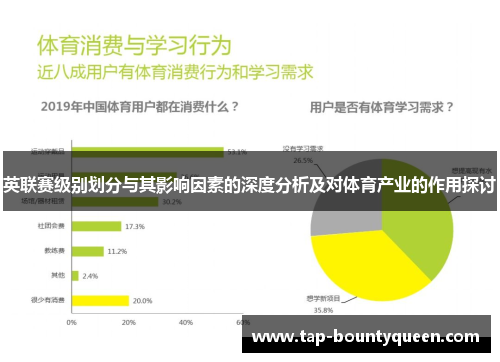 英联赛级别划分与其影响因素的深度分析及对体育产业的作用探讨