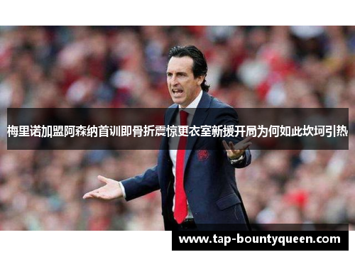 梅里诺加盟阿森纳首训即骨折震惊更衣室新援开局为何如此坎坷引热
