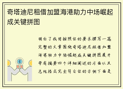 奇塔迪尼租借加盟海港助力中场崛起成关键拼图 奇塔迪尼租借加盟海港助力中场崛起成关键拼图
